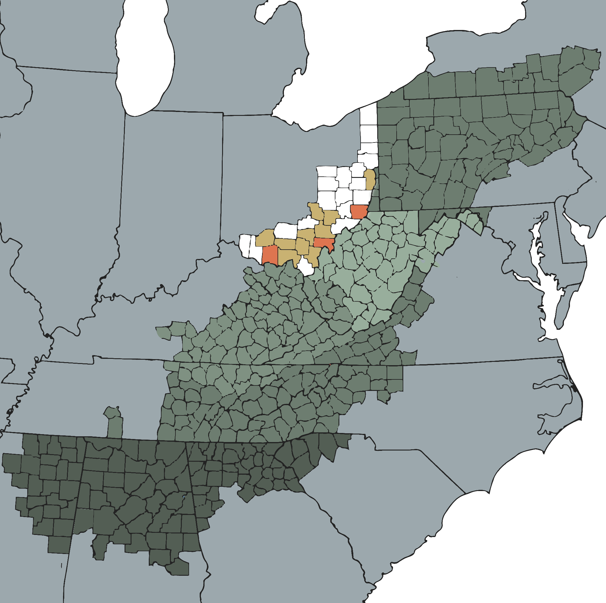 MESP: Medicaid Equity Simulation Project